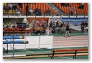 img_8232.jpg