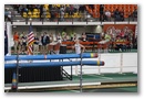 img_8234.jpg