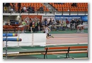 img_8248.jpg